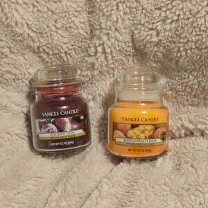 Two 3.7 oz Yankee Candles (Luscious Plum & Mango Peach Salsa)